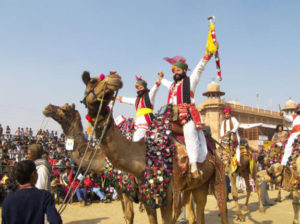 bikaner-camel-festival