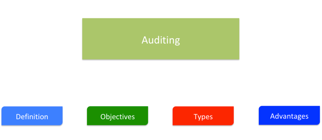 Auditing - Meaning, Objectives, Elements, Errors and Frauds