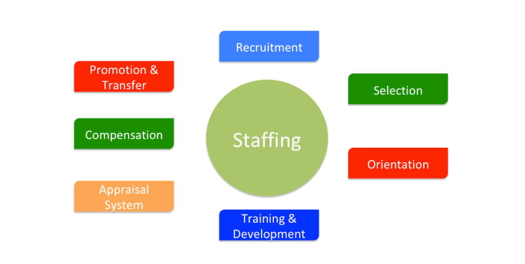 Recruitment, Selection, Training & Development