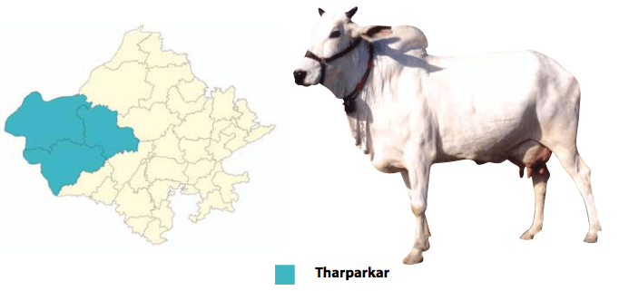 थारपारकर